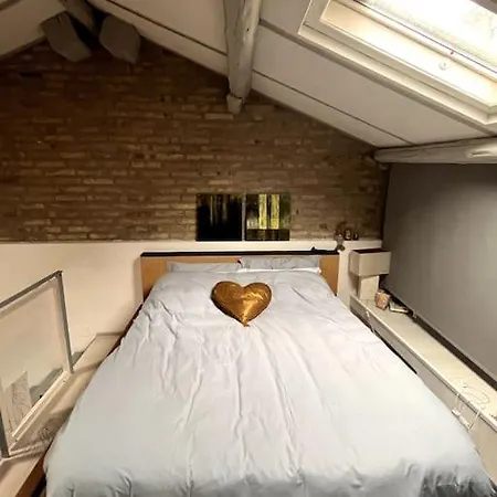 Apartament Delizioso Loft In Trastevere *